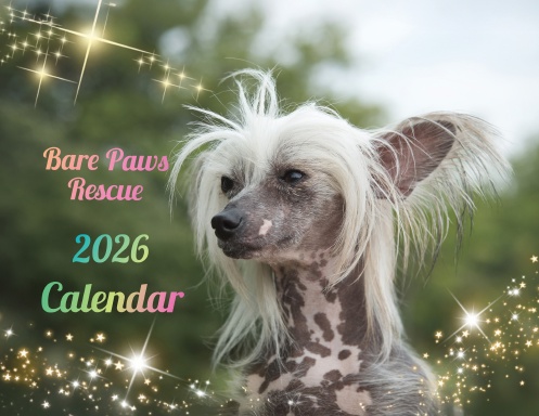 Bare Paws Rescue 2026 Calendar