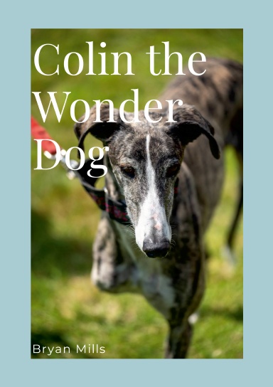 Colin the Wonder Dog