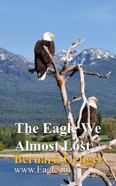 The Eagle We Almost Lost