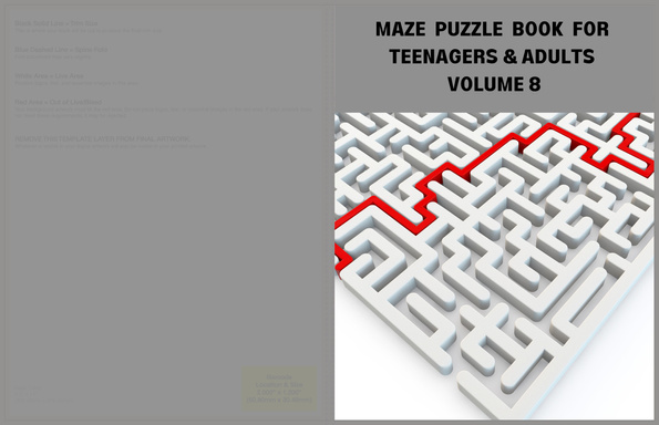 MAZE PUZZLE BOOK FOR TEENAGERS AND ADULTS VOLUME 8