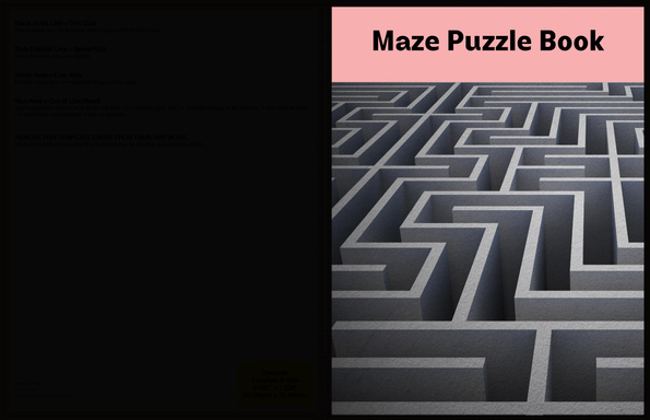 Maze Puzzle Book
