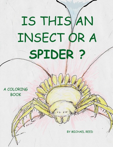 Is This an Insect or a Spider?