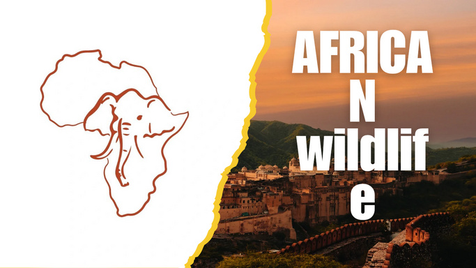 AFRICAN WILDLIFE