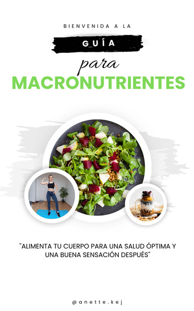 Guia para Macronutrientes