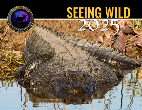 SEEING WILD Calendar 2025