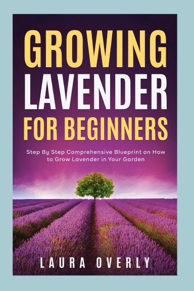 Growing Lavender for Beginners