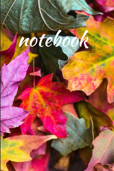 notebook wide ruled