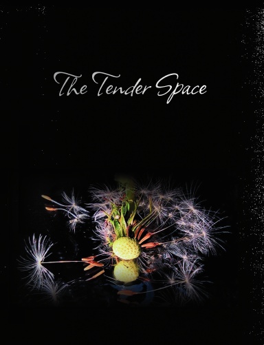 The Tender Space