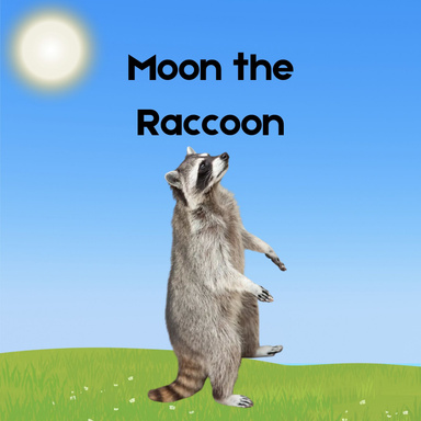 Moon the Raccoon