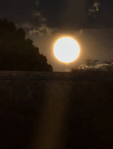 The Wolf Moon