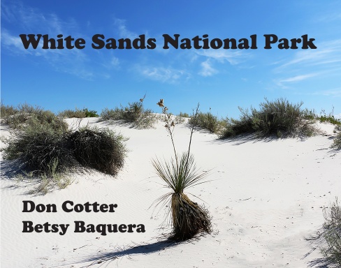 White Sands National Park