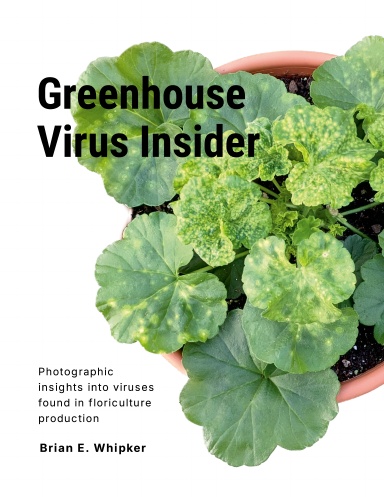 Greenhouse Virus Insider