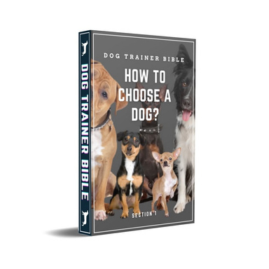 Dog Trainer Bible