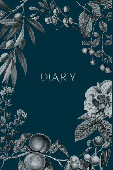 Silver and Blue Diary Journal | Vintage Journal Notebook | Elegant Personal Journal