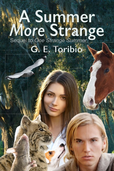 A Summer More Strange