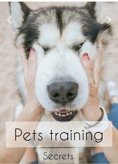 Pets training