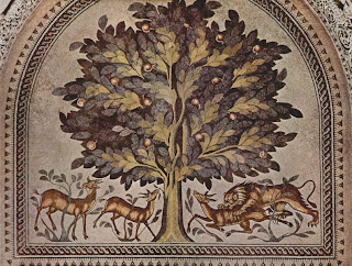 Image of Author shak w yaqen