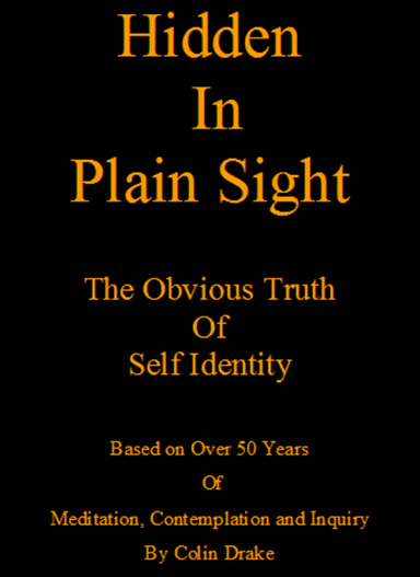 Hidden In Plain Sight