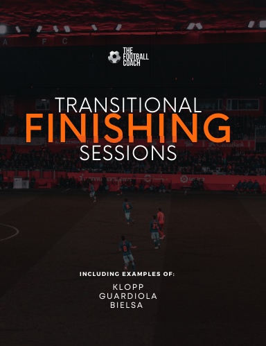 Transitional Finishing Practices