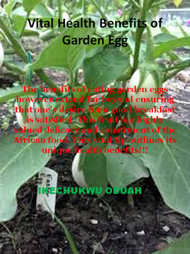 Vital Health Benefits  and Uses of Garden Egg