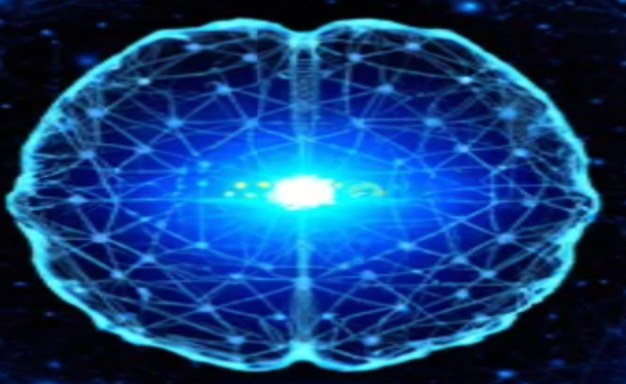 Synaptic Nexus