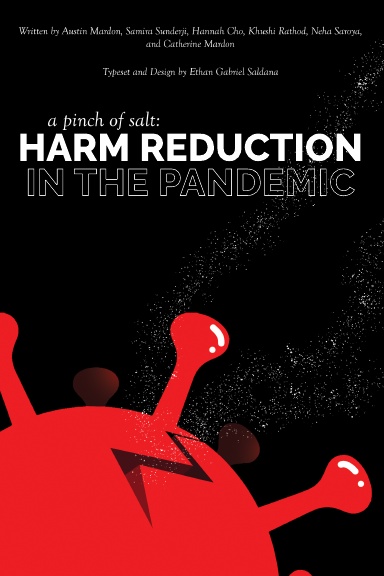 A Pinch of Salt: Harm Reduction in the Pandemic