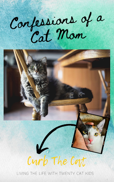 The cat crub