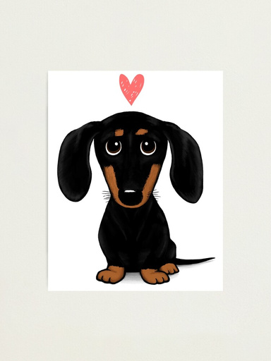 The sausage dog story