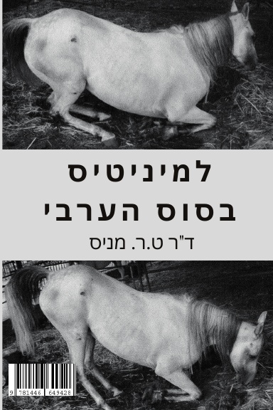 למיניטיס בסוס הערבי