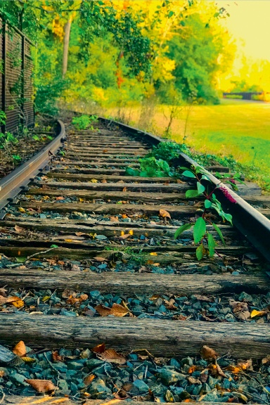Railroad Tracks