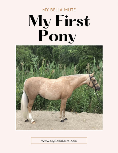 My first Pony