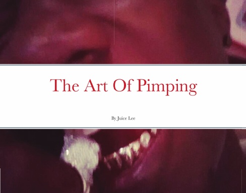 The Art Of Pimping