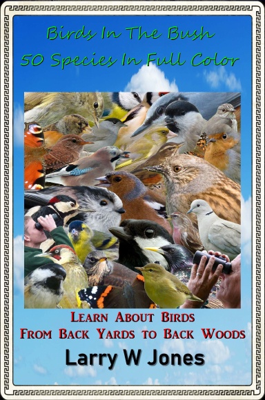 Birds In The Bush – 50 Species In Full Color