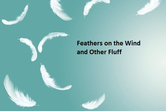Feathers in the Wind and Other Fluff
