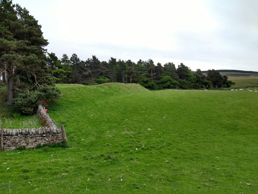 The Wulver's Stane issue 1.5