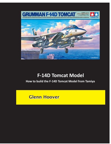 F-14D Tomcat Model