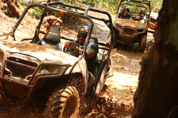 Image of Author Lofton