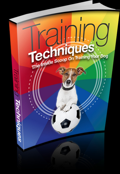 Pet training techniques