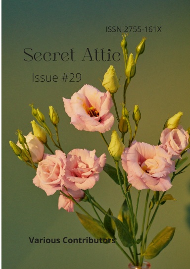 Secret Attic Issue #29