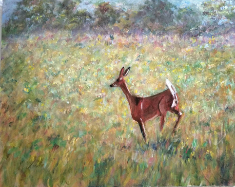 Image of Author Pamela Breitberg