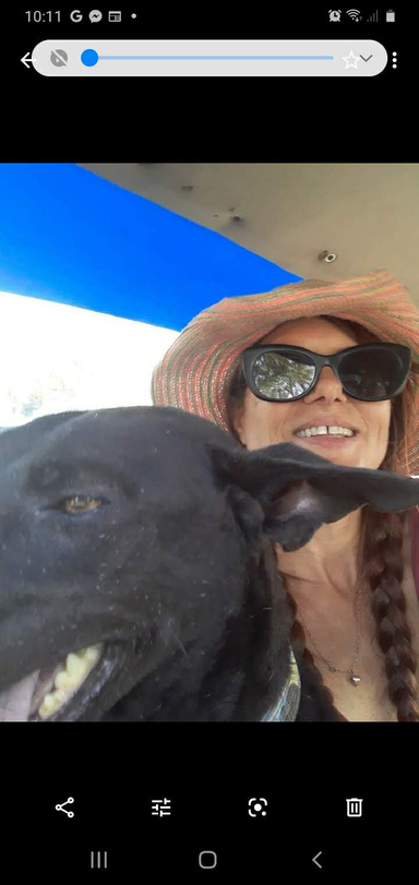 Image of Author Ali Rossi