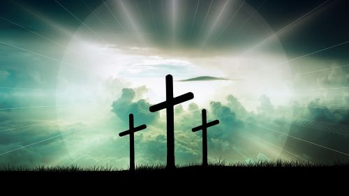 Image of Author Anchor Bible Study Lessons