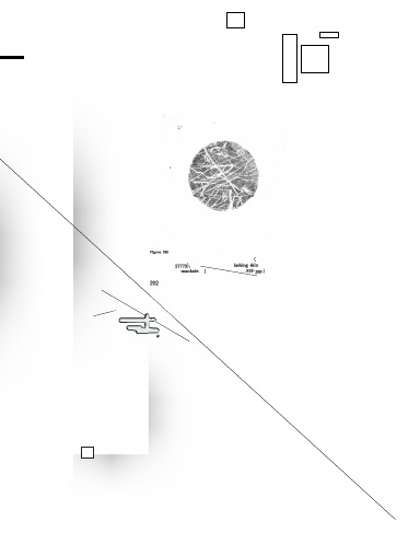 Research Copy Library 20xxiii.4.20--x.x