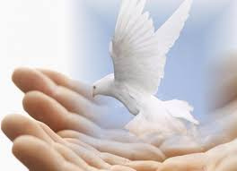 Image of Author Activate God’s Gifts In You