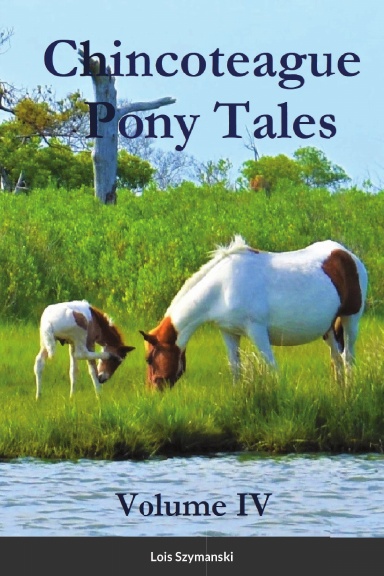 Chincoteague Pony Tales: Volume IV