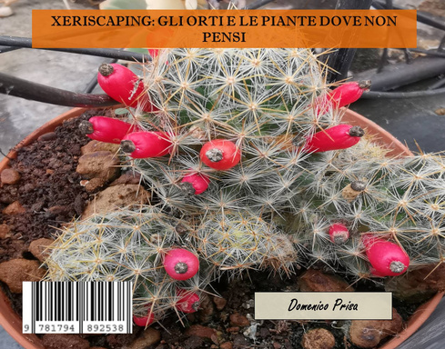 XERISCAPING: GLI ORTI E LE PIANTE DOVE NON PENSI