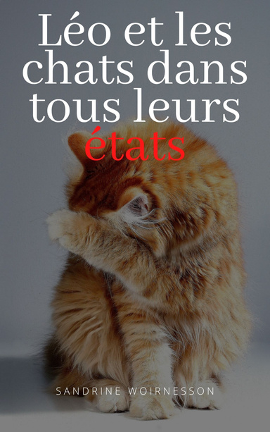 Léo et les chats dans tous leurs états