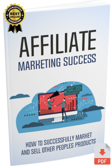 Affiliate Marketing Success