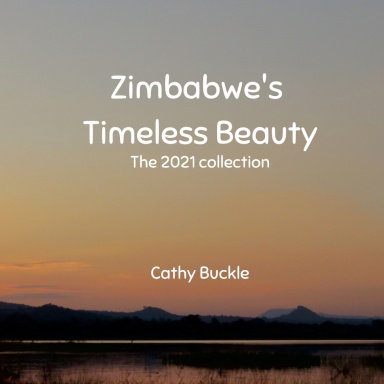 Zimbabwe's Timeless Beauty:  The 2021 Collection (PAPERBACK)