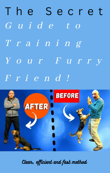 Ultimate guide to training your furry friend
